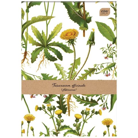 Notes (notatnik) A7 50k. krata [mm:] 74x105 Interdruk (NOA7)