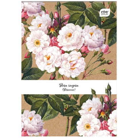 Notes (notatnik) A7 50k. krata [mm:] 74x105 Interdruk (NOA7)