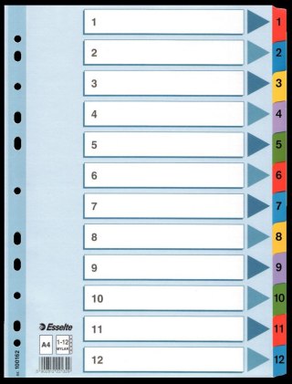 Przekładka numeryczna Mylar kartonowe A4 mix kolorów 160g 12k 1-12 Esselte (100162)