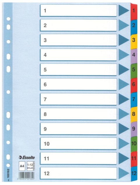 Przekładka numeryczna Esselte Mylar kartonowe A4 mix kolorów 160g 12k 1-12 (100162) Przekładka numeryczna Esselte Mylar kartonowe A4 mix kolorów 160g 12k 1-12 (100162)