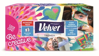 Chusteczki higieniczne 120 szt Velvet (Paradise)