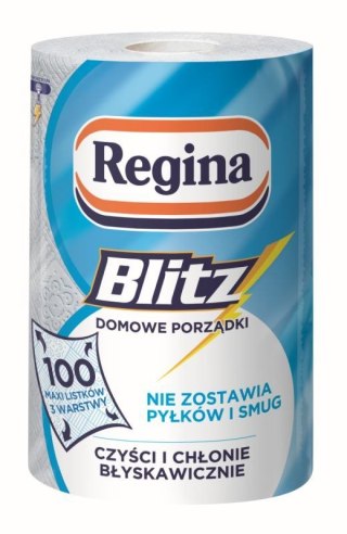Ręcznik rolka Błysk papier kolor: biały Regina