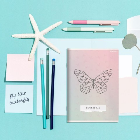 Zeszyt Linea A5 16k. 70g krata [mm:] 150x210 TOP-2000 (400159966)