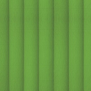 Bibuła marszczona jasnozielony 20mm x 500mm TOP-2000 (400153920)