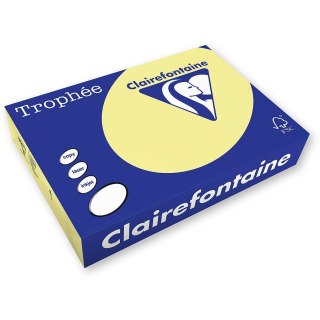 Papier kolorowy A4 kolorowy kanarkowy kanarkowy 250k. 160g Trophee (xca42636)