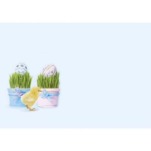 Koperta B6 kolorowe mix Pol-mak (KB6_WL) 100 sztuk