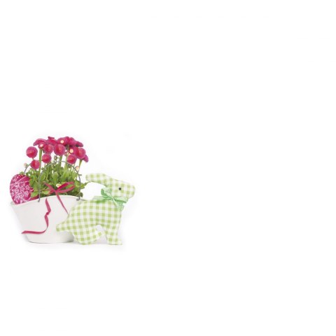 Koperta B6 kolorowe mix Pol-mak (KB6_WL) 100 sztuk