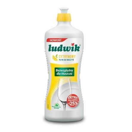 Płyn do naczyń 450ml LUDWIK