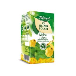 Herbata Herbapol Zielnik Polski | Melisa z Pigwą | 20 szt