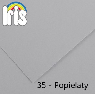 Brystol Iris 35 A3 popielaty 185g 50k [mm:] 297x420 Canson (200040214)