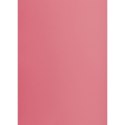 Brystol TOP-2000 A3 różowy 160g 25k [mm:] 297x420 (400150232)