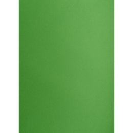 Brystol TOP-2000 A3 zielony 160g 25k [mm:] 297x420 (400150241)