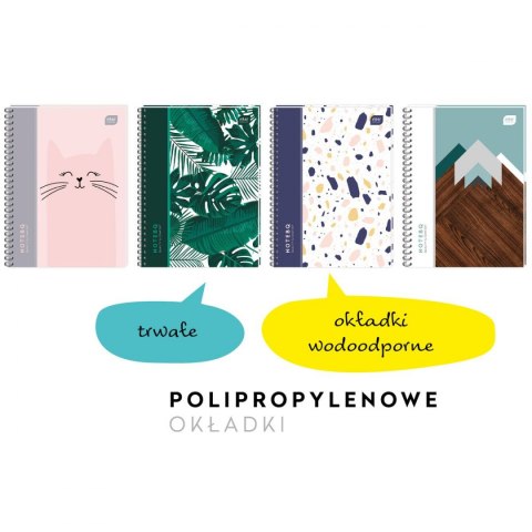 Kołozeszyt (kołonotatnik) A5 100k. 70g krata Interdruk