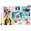 Puzzle Trefl 1500 el. (26186)