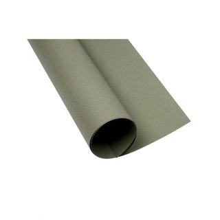 Brystol A1 ciemnoszary 160g 25k [mm:] 610x860 Creatinio (400149524)