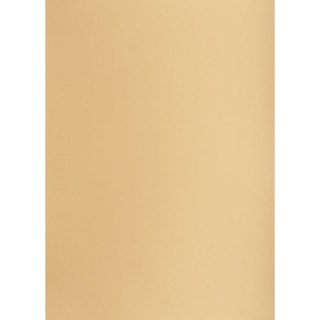 Brystol A1 jasnobrązowy 160g 25k [mm:] 610x860 TOP-2000 (400149527)