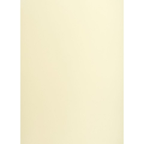 Brystol A1 kremowy 160g 25k [mm:] 610x860 TOP-2000 (400149521)