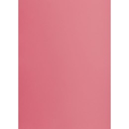 Brystol TOP-2000 A1 różowy 160g 25k [mm:] 610x860 (400149529)
