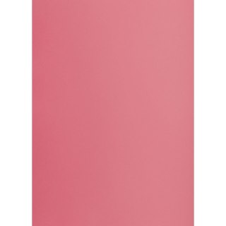 Brystol A1 różowy 160g 25k [mm:] 610x860 TOP-2000 (400149529)