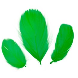 Piórka Titanum Craft-Fun Series zielone