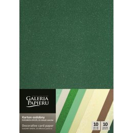 Papier ozdobny (wizytówkowy) Galeria Papieru Elegancka Zieleń A4 - zielony 210-250g (208927)