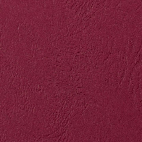 Karton do bindowania Argo delta A4 czerwony 250g (407041) Karton do bindowania Argo delta A4 czerwony 250g (407041)