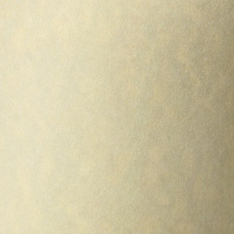 Papier ozdobny (wizytówkowy) Granit A4 kremowy 220g Galeria Papieru (200402)