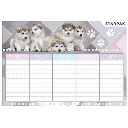 Plan lekcji Starpak Cuties (409084)