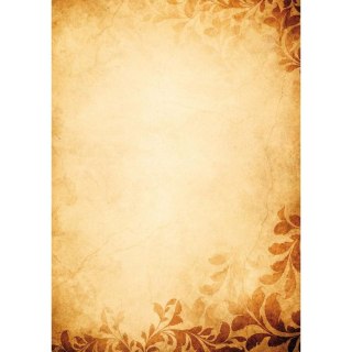 Dyplom A4 botanic 170g Galeria Papieru (219617)