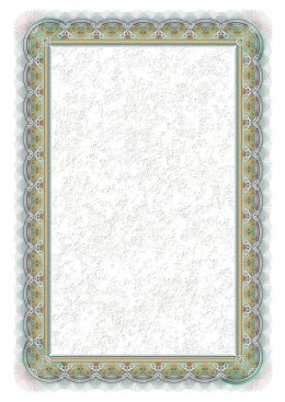 Dyplom Galeria Papieru srebro A4 170g (210117)