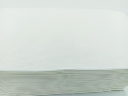 Ręcznik ZZ PERFECTO 2w celuloza 20x144 list