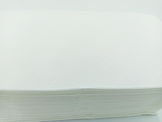 Ręcznik ZZ PERFECTO 2w celuloza 20x144 list