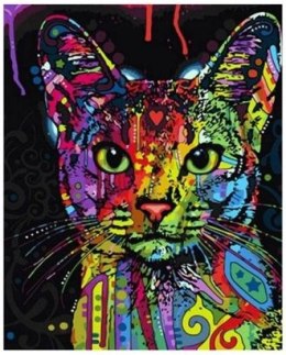 Zestaw kreatywny Norimpex malowanie po numerach - kolorowy kot (NO-1007029)