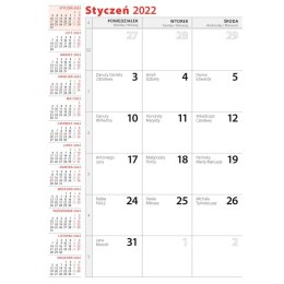 Kalendarz książkowy (terminarz) Avanti terminarz A5 (5902641332548)
