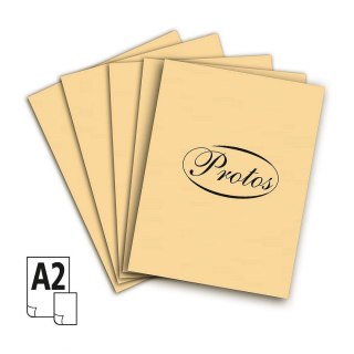 Brystol A2 beżowy 20k [mm:] 430x610 Protos