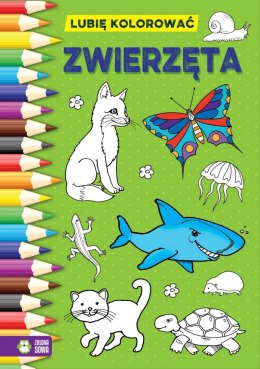 Książeczka edukacyjna Zielona Sowa Lubię kolorować. Zwierzęta