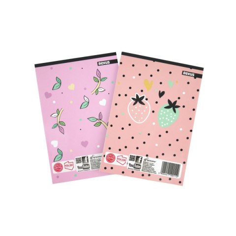 Notes (notatnik) dziewczynka A6 30k. [mm:] 102x148 Rexus