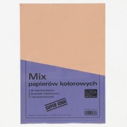Papier kolorowy Rogatin A4 - mix 80g