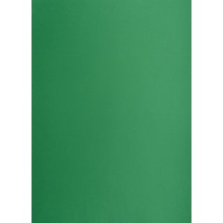 Brystol A1 ciemnozielony 160g [mm:] 610x860 Creatinio (400149561)