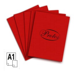 Brystol Protos A1 A1 czerwony ciemny 160-180g 20k [mm:] 610x860