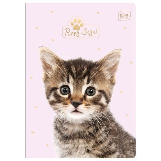 Zeszyt A5 Puppy Sign 16k. 70g krata [mm:] 148x210 Interdruk (ZE16#PS)