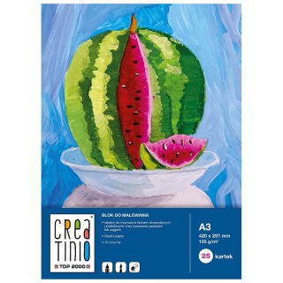 Blok artystyczny Creatinio A4 120gg 20k Top 2000 (400079858)