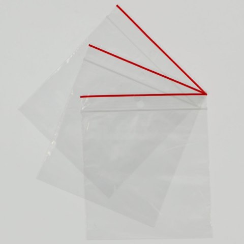 Worek strunowy Gabi-Plast 100 szt [mm:] 100x100