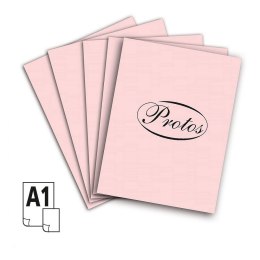 Brystol Protos A1 A1 różowy jasny 160-180g 20k [mm:] 610x860