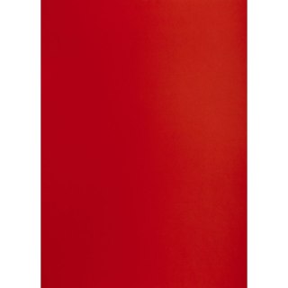 Brystol A1 ciemnoczerwony 160g 25k [mm:] 610x860 TOP-2000 (400149552)