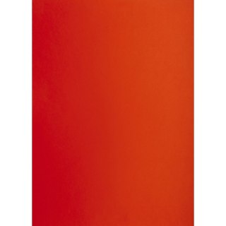 Brystol A1 czerwony 160g 25k [mm:] 610x860 TOP-2000 (400149551)