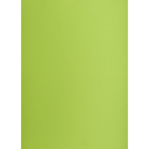 Brystol A1 jasnozielony 160g 25k [mm:] 610x860 TOP-2000 (400149557)