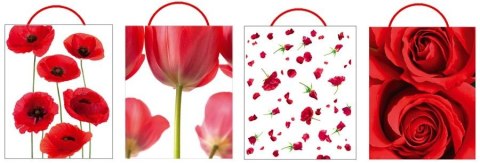 Torba prezentowa [mm:] 297x210 Pan Dragon (002)