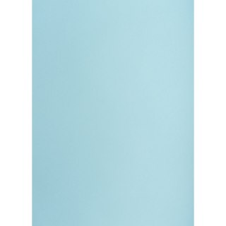 Brystol niebieski jasny B1 niebieski jasny 225g 1k Creatinio (400150272)