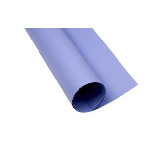 Brystol purpurowy B1 purpurowy 225g 1k Creatinio (400150271)